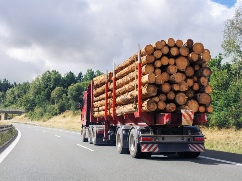 Trouvez les meilleurs prix d’un camion de grumes de bois en Alsace facilement